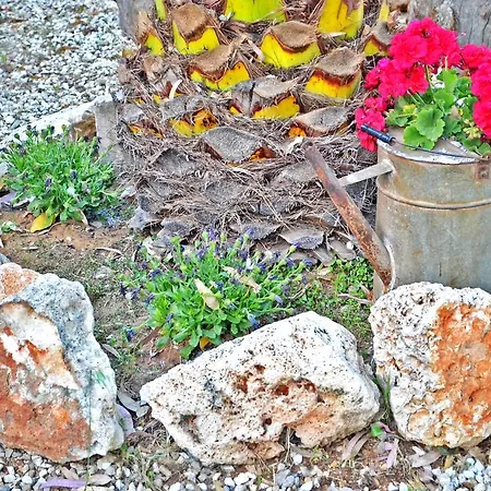 Li Pizzicati * Sant Isidoro (Apulia)